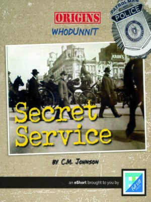 cover image of The Secret Service